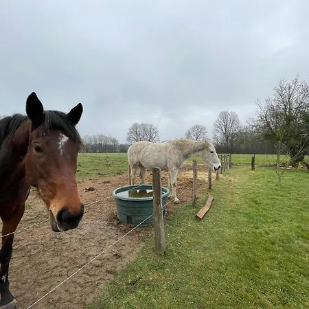 De Charme Près Du Mans, équipé Avec Espace Extérieur, Garage, Et Confort Moderne - Fr-1-410-385