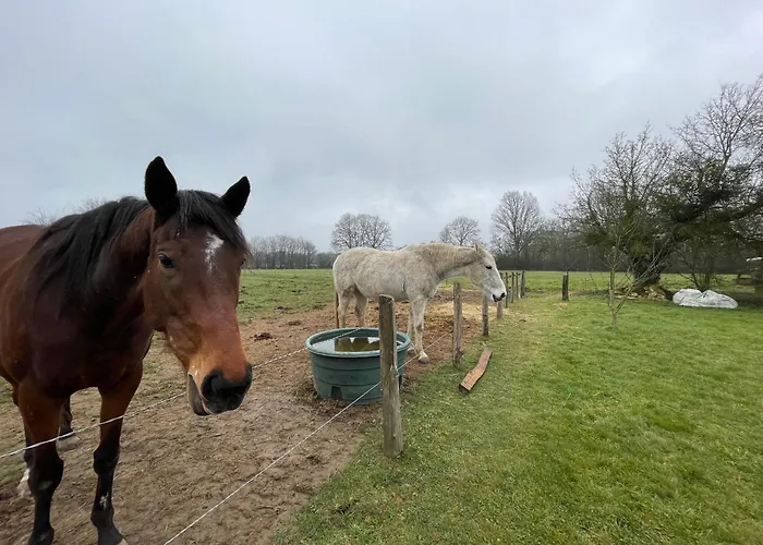 De Charme Pres Du Mans, Equipe Avec Espace Exterieur, Garage, Et Confort Moderne - Fr-1-410-385