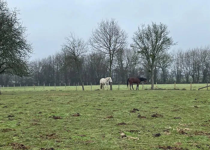 De Charme Pres Du Mans, Equipe Avec Espace Exterieur, Garage, Et Confort Moderne - Fr-1-410-385